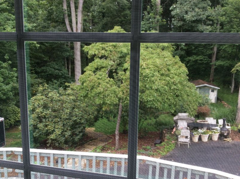 2014-08-01 10.29.34